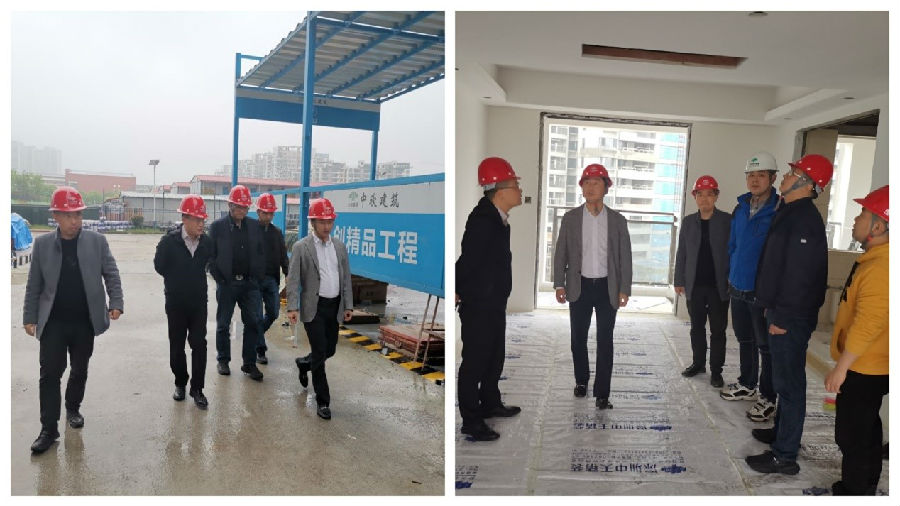 20250219109688.jpg 168498755.jpg