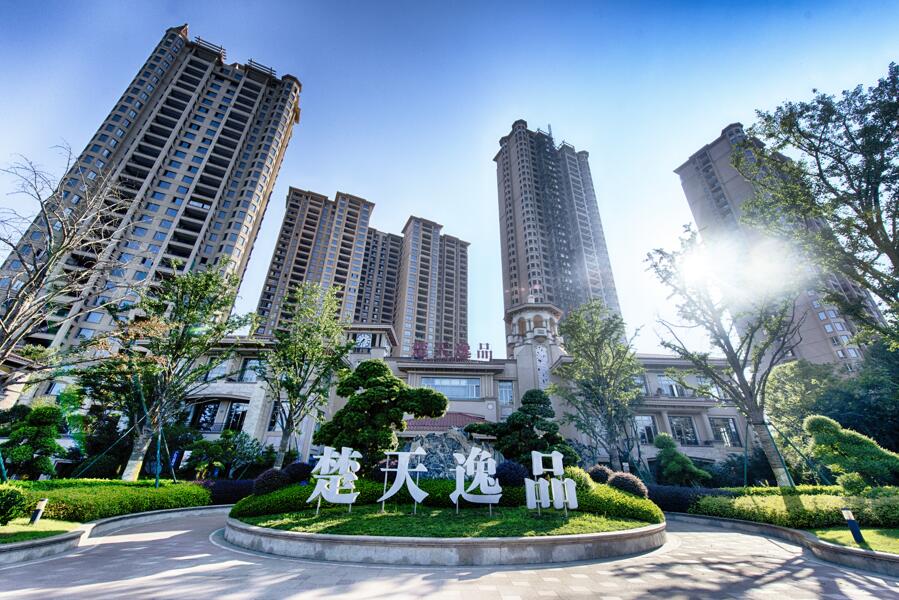 20250219438838.jpg 27112024512.jpg