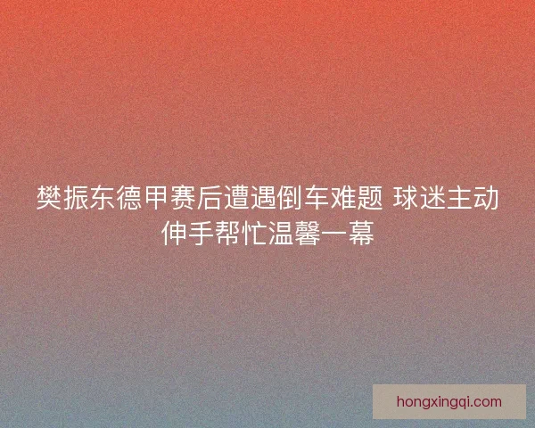 樊振东德甲赛后遭遇倒车难题 球迷主动伸手帮忙温馨一幕