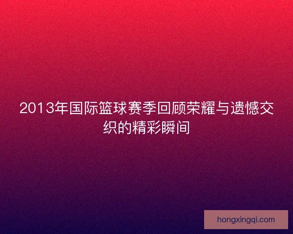 2013年国际篮球赛季回顾荣耀与遗憾交织的精彩瞬间